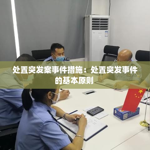 处置突发案事件措施：处置突发事件的基本原则 