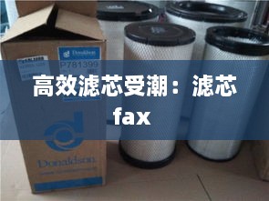 高效滤芯受潮：滤芯fax 