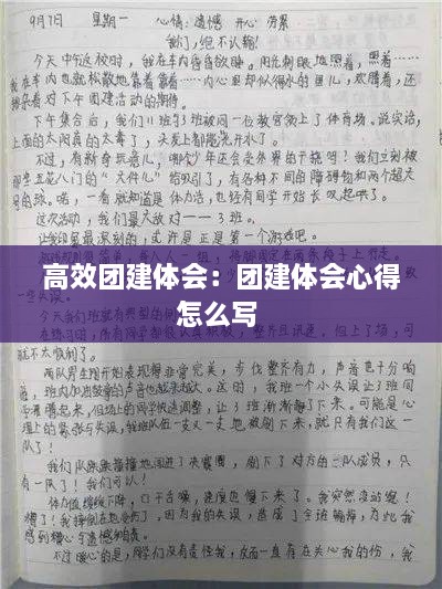 高效团建体会：团建体会心得怎么写 