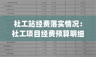 社工站经费落实情况：社工项目经费预算明细 