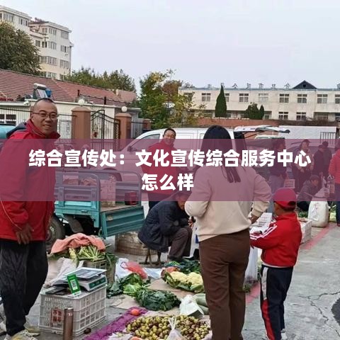 综合宣传处：文化宣传综合服务中心怎么样 