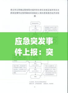 应急突发事件上报：突发事件应急报告的内容包括 