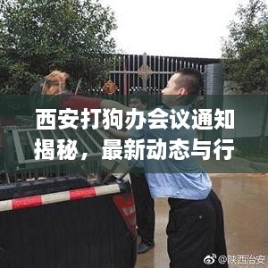 西安打狗办会议通知揭秘，最新动态与行动方案