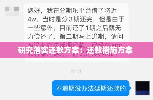 研究落实还款方案：还款措施方案 