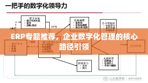 ERP专题推荐，企业数字化管理的核心路径引领