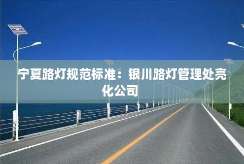 宁夏路灯规范标准：银川路灯管理处亮化公司 