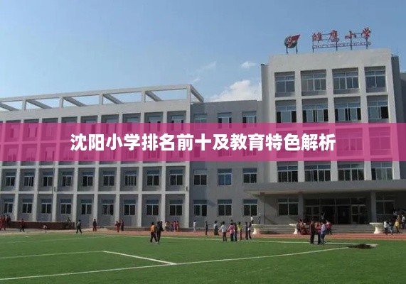 沈阳小学排名前十及教育特色解析