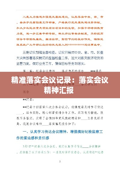 精准落实会议记录：落实会议精神汇报 