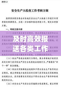 及时高效报送各类工作：按时报送 及时总结 