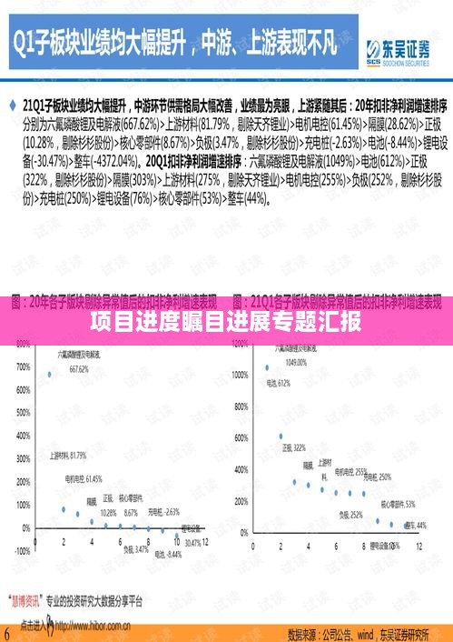 项目进度瞩目进展专题汇报