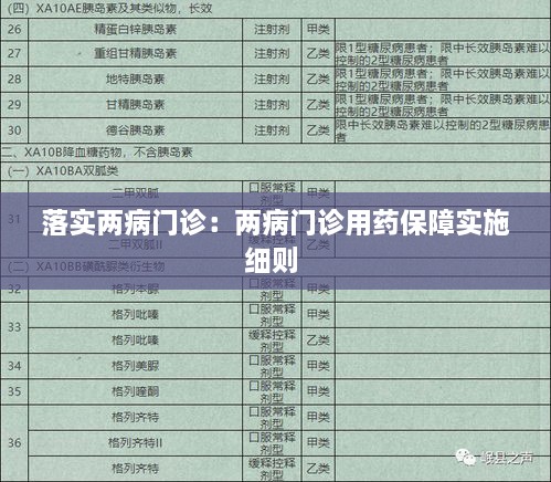 落实两病门诊：两病门诊用药保障实施细则 