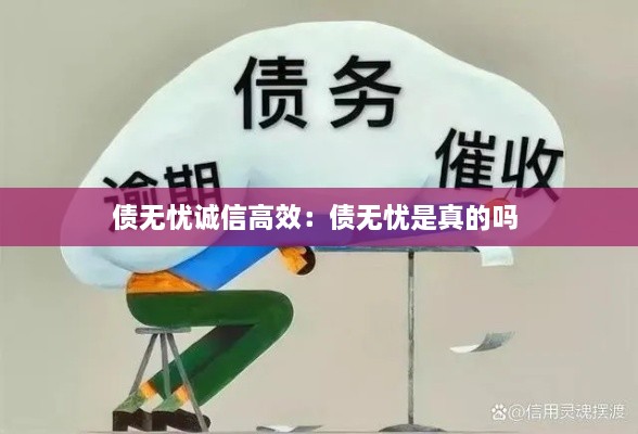 债无忧诚信高效：债无忧是真的吗 