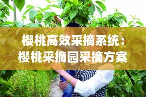 樱桃高效采摘系统：樱桃采摘园采摘方案 