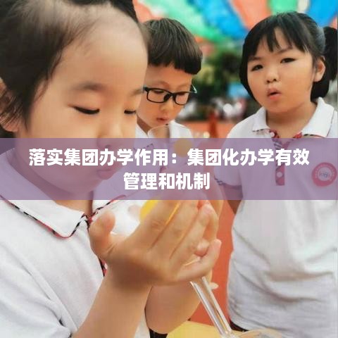 落实集团办学作用：集团化办学有效管理和机制 