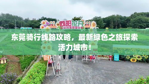 东莞骑行线路攻略，最新绿色之旅探索活力城市！