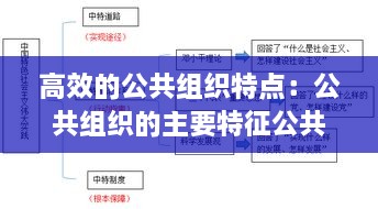 高效的公共组织特点：公共组织的主要特征公共性 