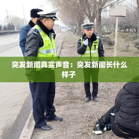 突发新闻真实声音：突发新闻长什么样子 