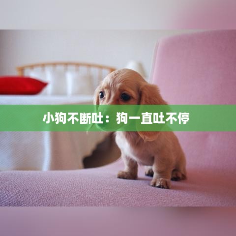 小狗不断吐：狗一直吐不停 