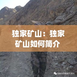 独家矿山：独家矿山如何简介 