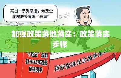 加强政策落地落实：政策落实步骤 