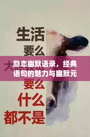 励志幽默语录，经典语句的魅力与幽默元素的融合