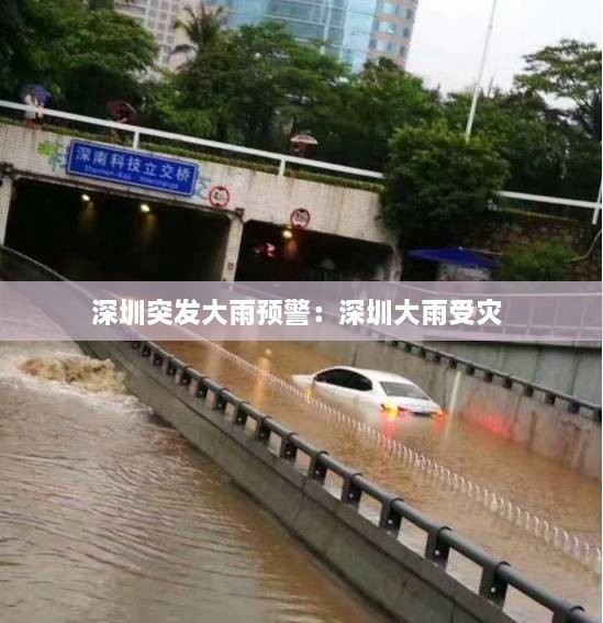 深圳突发大雨预警：深圳大雨受灾 