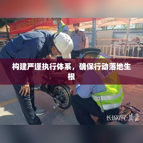 构建严谨执行体系，确保行动落地生根