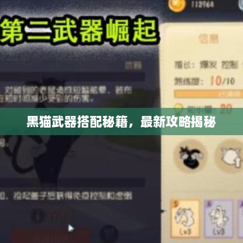 黑猫武器搭配秘籍，最新攻略揭秘