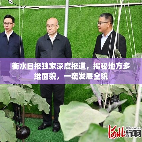 衡水日报独家深度报道，揭秘地方多维面貌，一窥发展全貌