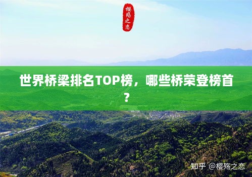 世界桥梁排名TOP榜，哪些桥荣登榜首？