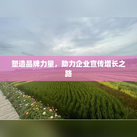 塑造品牌力量，助力企业宣传增长之路