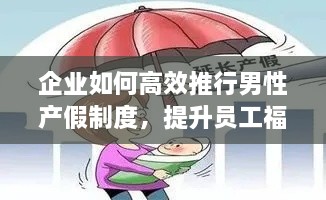 企业如何高效推行男性产假制度，提升员工福利与工作效率？