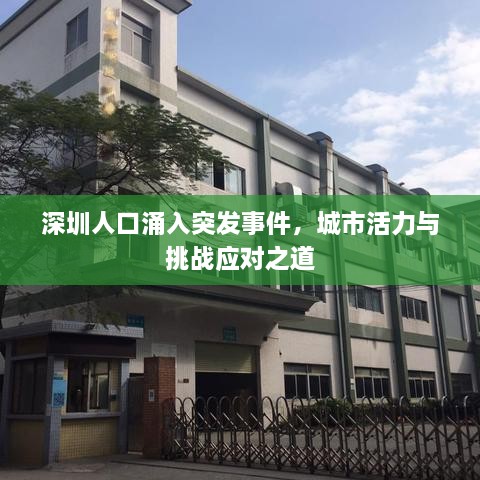 深圳人口涌入突发事件，城市活力与挑战应对之道