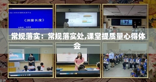 常规落实：常规落实处,课堂提质量心得体会 