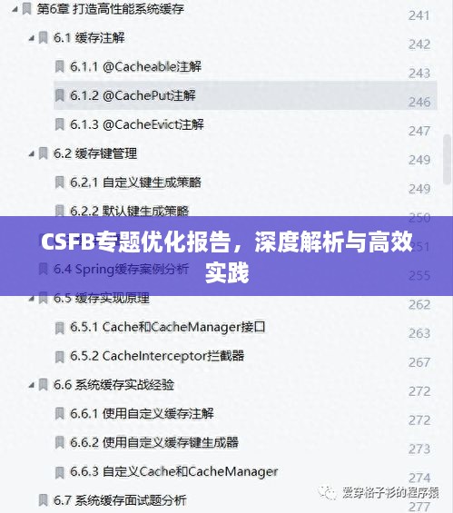 CSFB专题优化报告，深度解析与高效实践