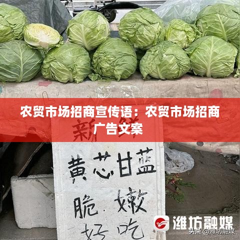 农贸市场招商宣传语：农贸市场招商广告文案 