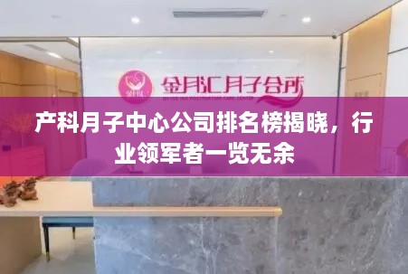 产科月子中心公司排名榜揭晓，行业领军者一览无余