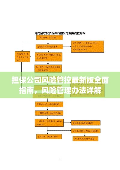 担保公司风险管控最新版全面指南，风险管理办法详解