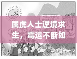 属虎人士逆境求生，霉运不断如何积极应对挑战？