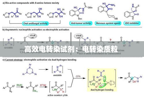 高效电转染试剂：电转染质粒 