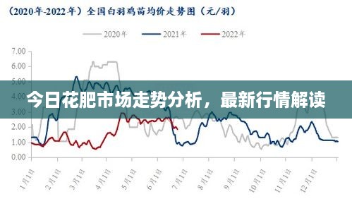 今日花肥市场走势分析，最新行情解读