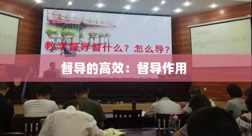 督导的高效：督导作用 