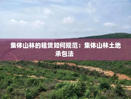 集体山林的租赁如何规范：集体山林土地承包法 