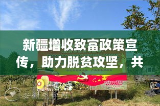 新疆增收致富政策宣传，助力脱贫攻坚，共创美好未来！