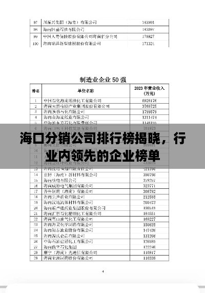 海口分销公司排行榜揭晓，行业内领先的企业榜单