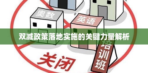 双减政策落地实施的关键力量解析