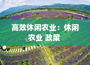 高效休闲农业：休闲农业 政策 