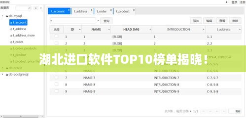 湖北进口软件TOP10榜单揭晓！