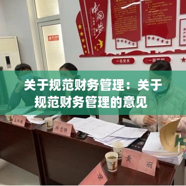 关于规范财务管理：关于规范财务管理的意见 