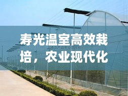 寿光温室高效栽培，农业现代化典范展现！